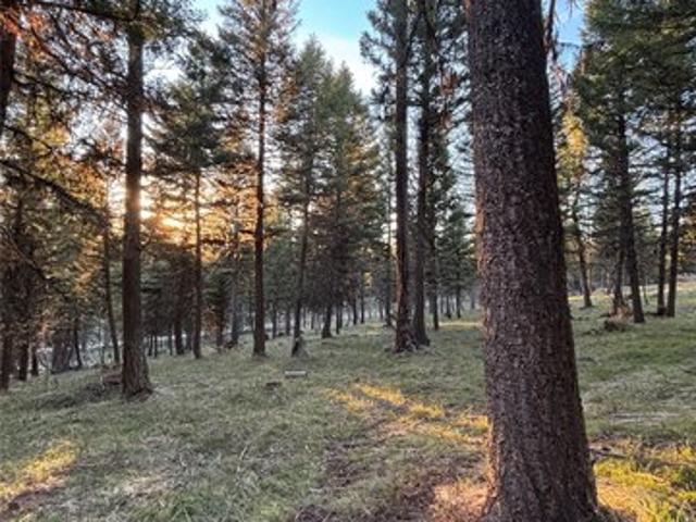 Land for sale in Seeley Lake, Montana
