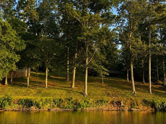 Land for sale in Scottsboro, Alabama