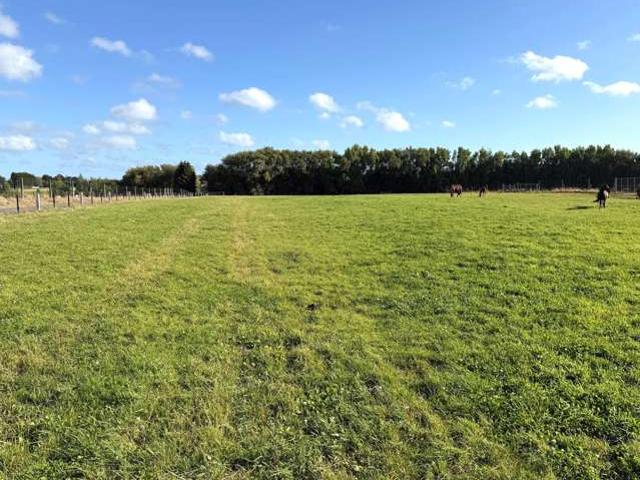 Property for sale in Invercargill, Southland