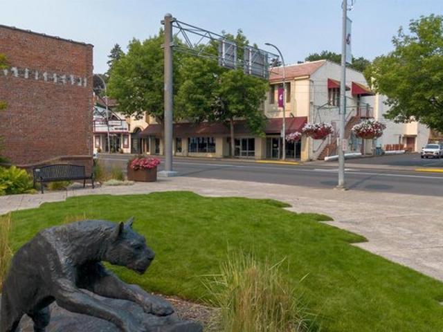 House for sale in Whitman, Washington