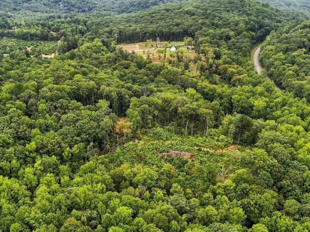 Land for sale in Travelers Rest, South Carolina