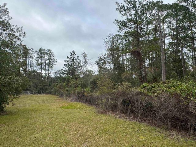Land for sale in Florida