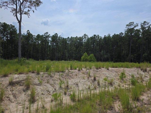 Land for sale in Jasper, Texas