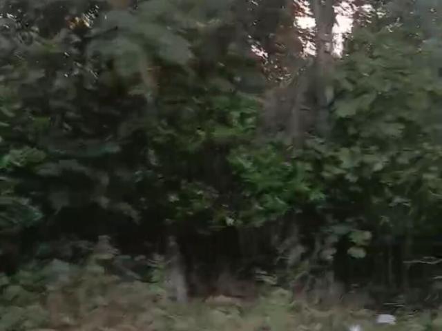 Land for sale in Bradford Village, Santee