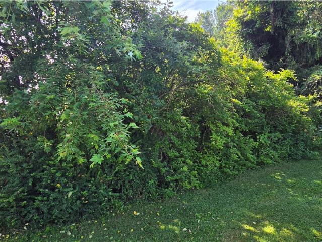 Farm for sale in Somerset, Pennsylvania