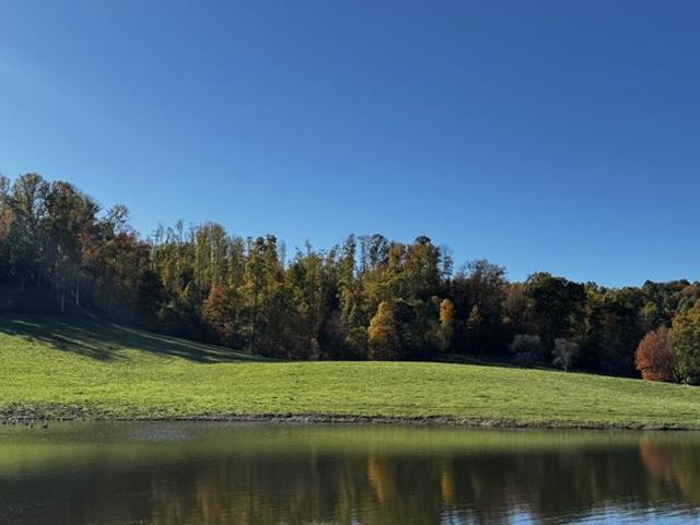 Land for sale in Canvas, West Virginia