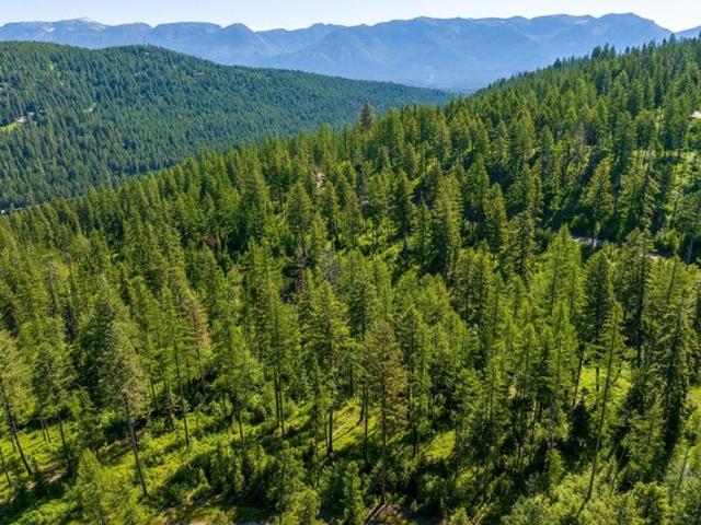 Land for sale in Bigfork, Montana