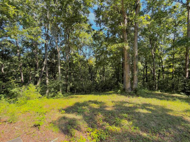 Land for sale in Monticello, Kentucky