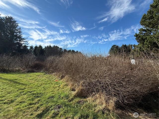 Land for sale in Long Beach, Washington