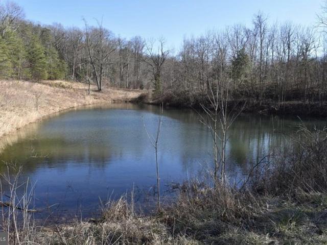 Land for sale in Hedgesville, West Virginia
