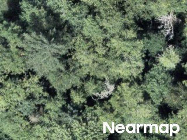 Land for sale in Thurston, Washington