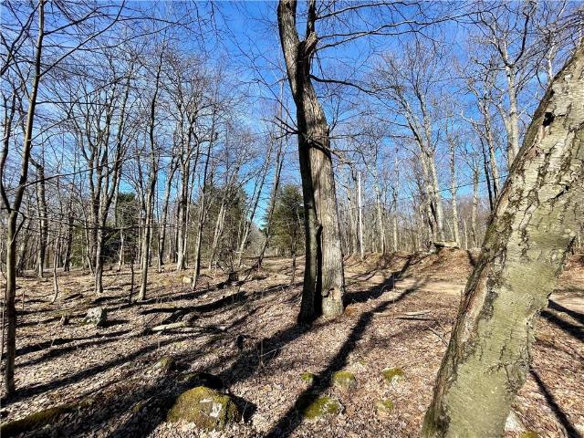 Land for sale in Somerset, Pennsylvania