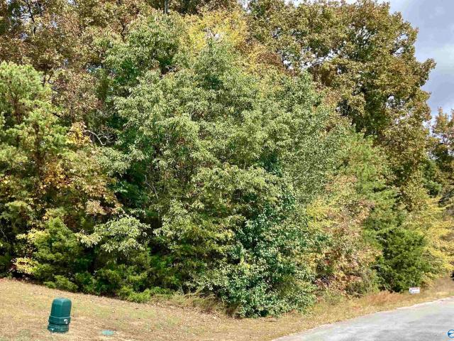 Land for sale in Trinity, Alabama