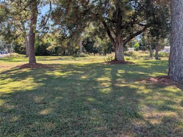 Land for sale in Headland, Alabama