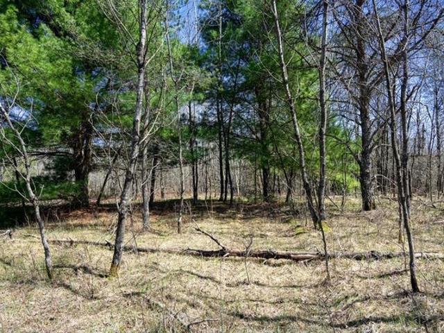 Land for sale in Juneau, Wisconsin