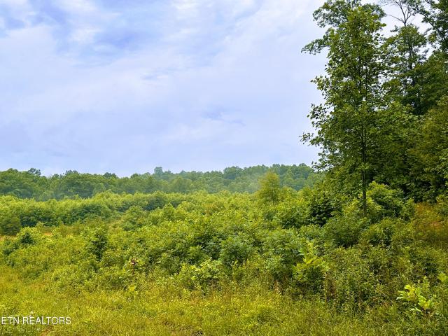 Land for sale in Tennessee