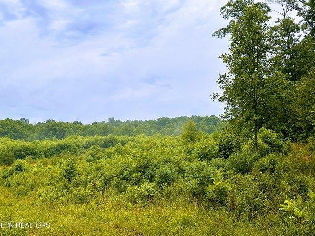 Land for sale in Tennessee