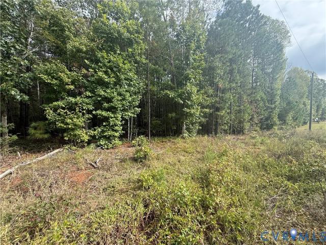 Land for sale in Virginia