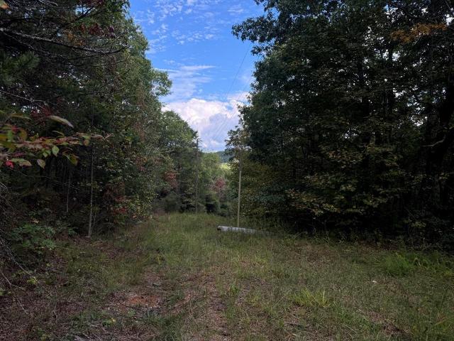 Land for sale in Jasper, Georgia