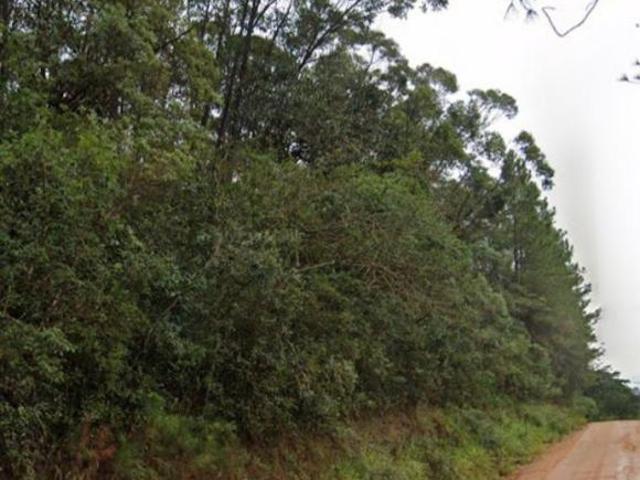 Terreno venda em Passo da Areia, Viamão