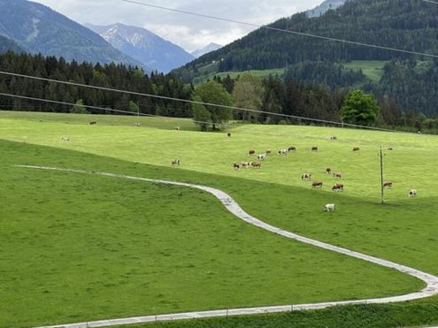 Grundstück kaufen in Gröbming, Steiermark