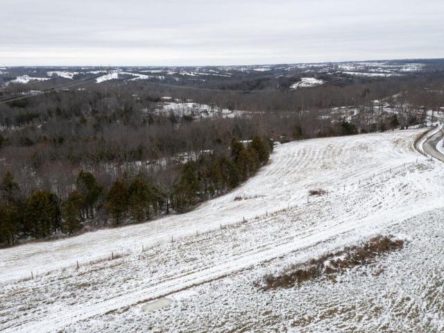 Land for sale in Williamstown, Kentucky