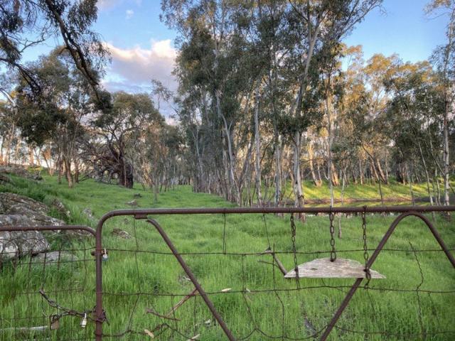 Land for sale in Angaston, South Australia