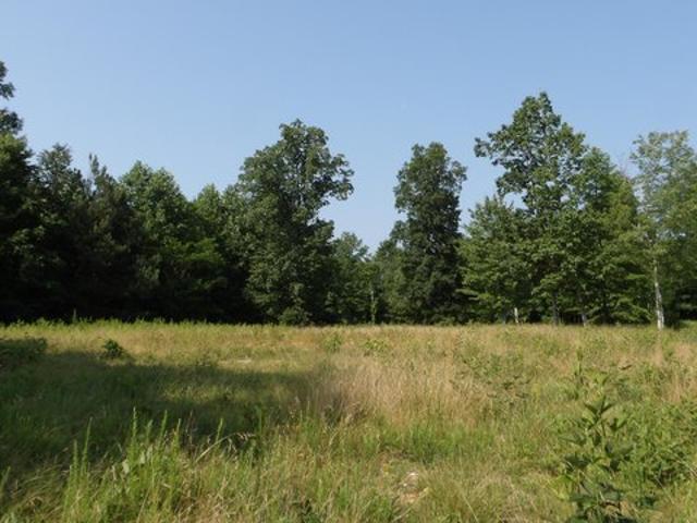 Land for sale in Tennessee