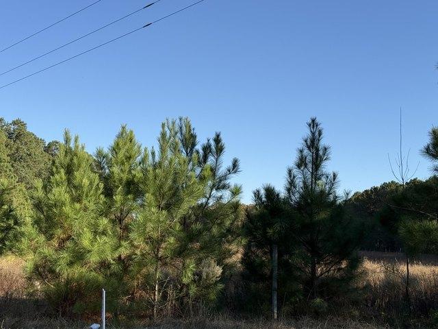 Land for sale in Windsor, Aiken County