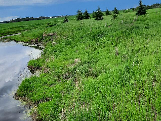 Land for sale in Atmore, Alberta