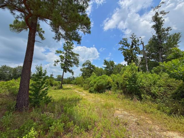 Land for sale in Leon, Texas