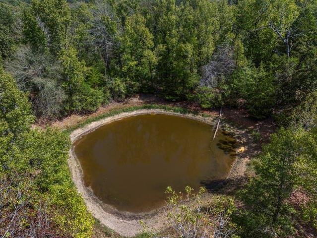 Land for sale in Leon, Texas