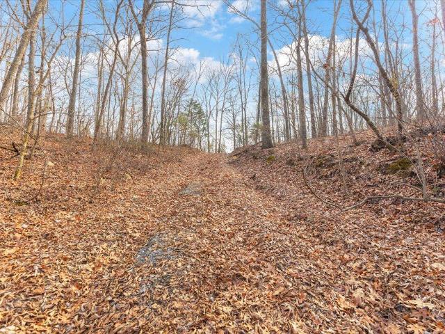 Land for sale in Dalton, Georgia