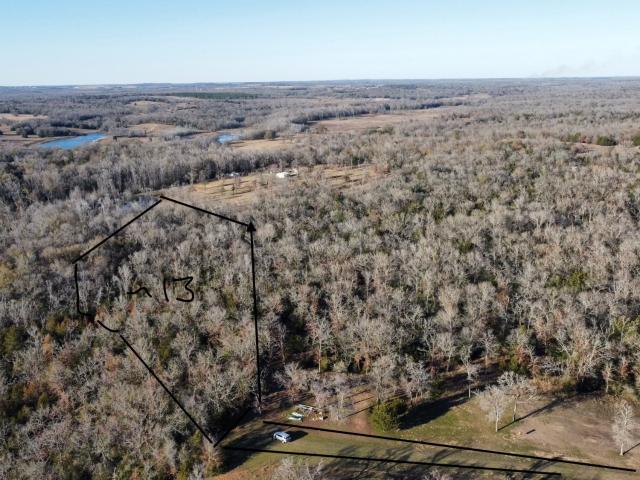 Land for sale in Oakwood, Texas