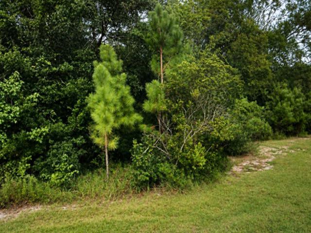 Land for sale in Glynn, Georgia