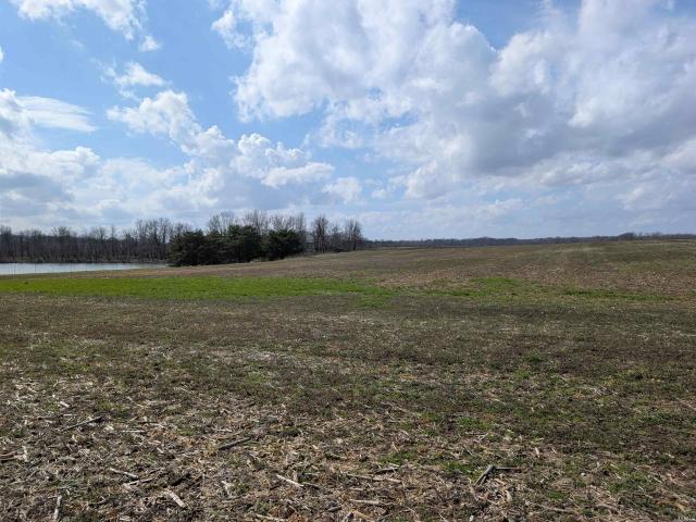 Land for sale in Loogootee, Daviess County
