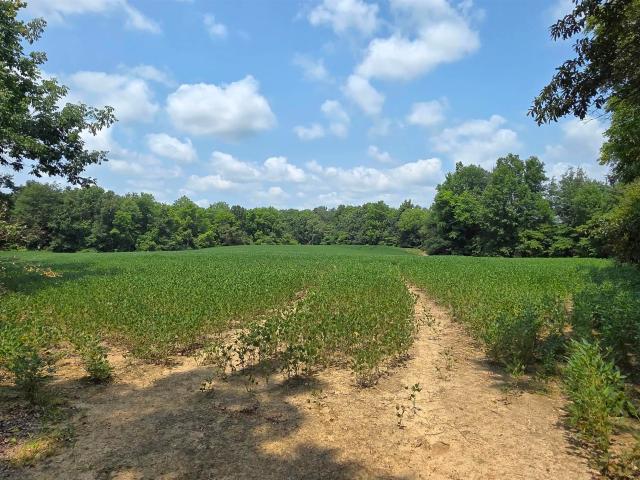 Land for sale in Loogootee, Indiana