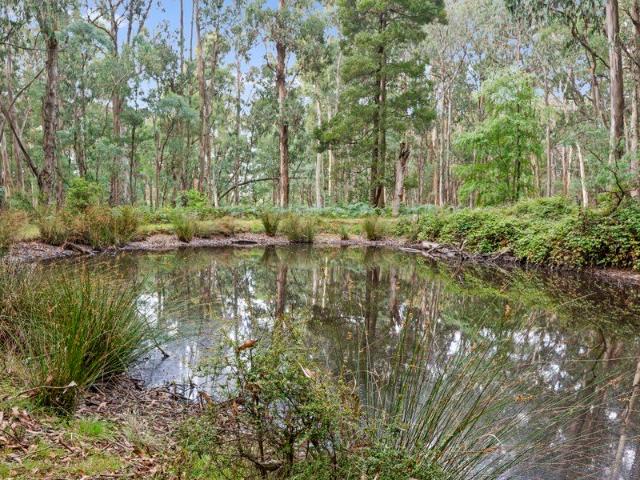 Land for sale in Tolmie, Victoria