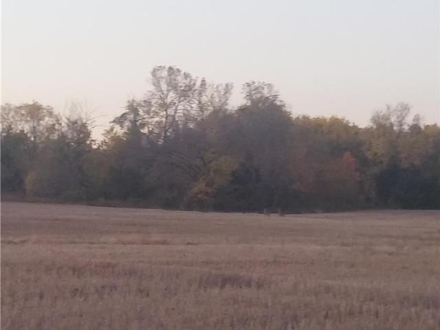 Land for sale in Drexel, Missouri