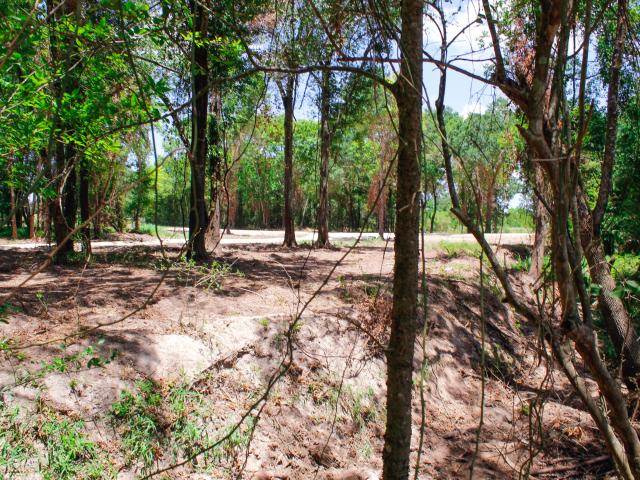 Land for sale in Madisonville, Madison County
