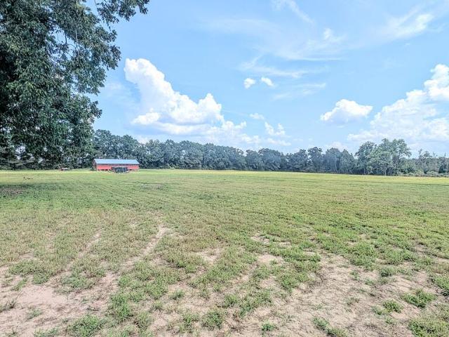 Land for sale in Geneva, Alabama