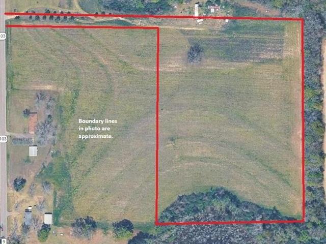 Land for sale in Geneva, Alabama