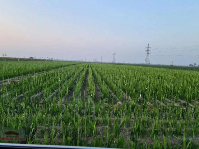 Land for sale in Rawalpindi, Islamabad Capital Territory