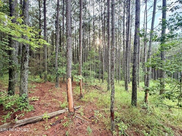 Land for sale in Tennessee