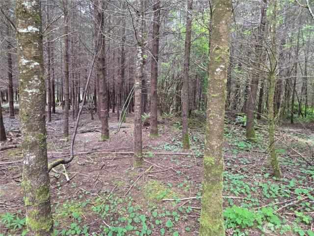 Land for sale in Montesano, Washington