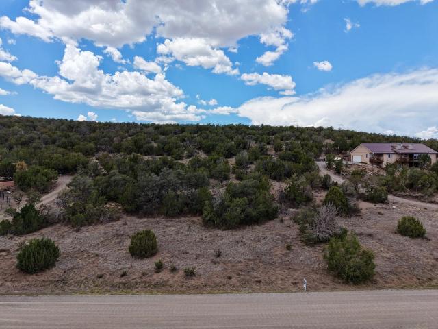 Land for sale in Edgewood, New Mexico