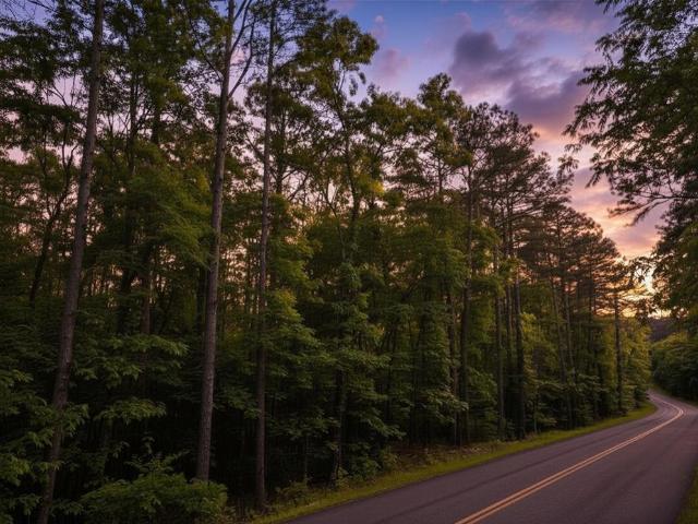Land for sale in Broken Bow, Oklahoma