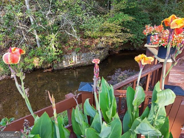 Land for sale in Blairsville, Georgia