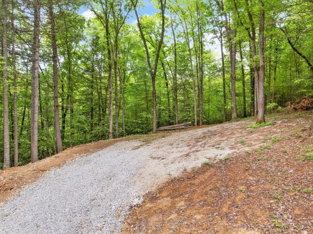 Land for sale in Grannie, Campton