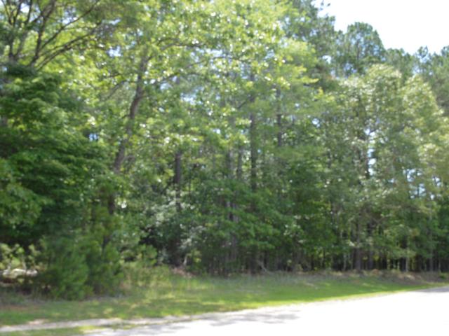 Land for sale in Ridgeway, South Carolina
